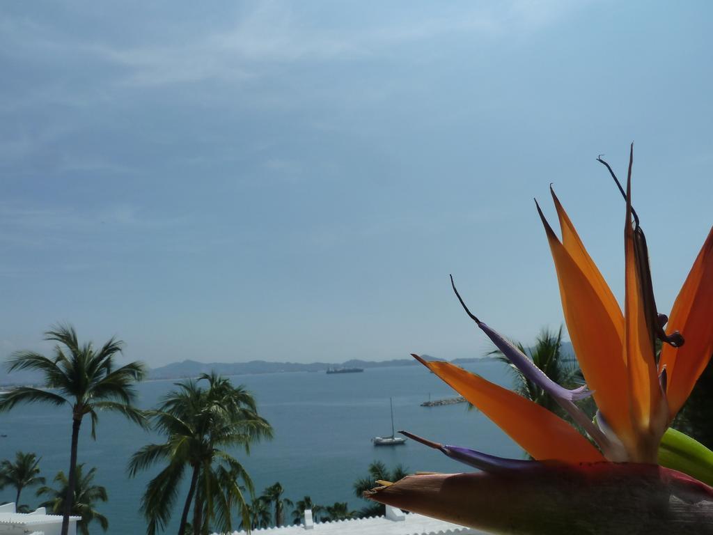 Dolphin Cove Inn Manzanillo Luaran gambar