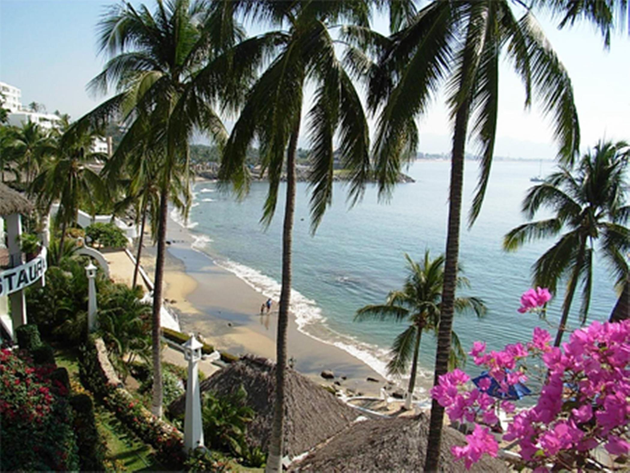 Dolphin Cove Inn Manzanillo Luaran gambar