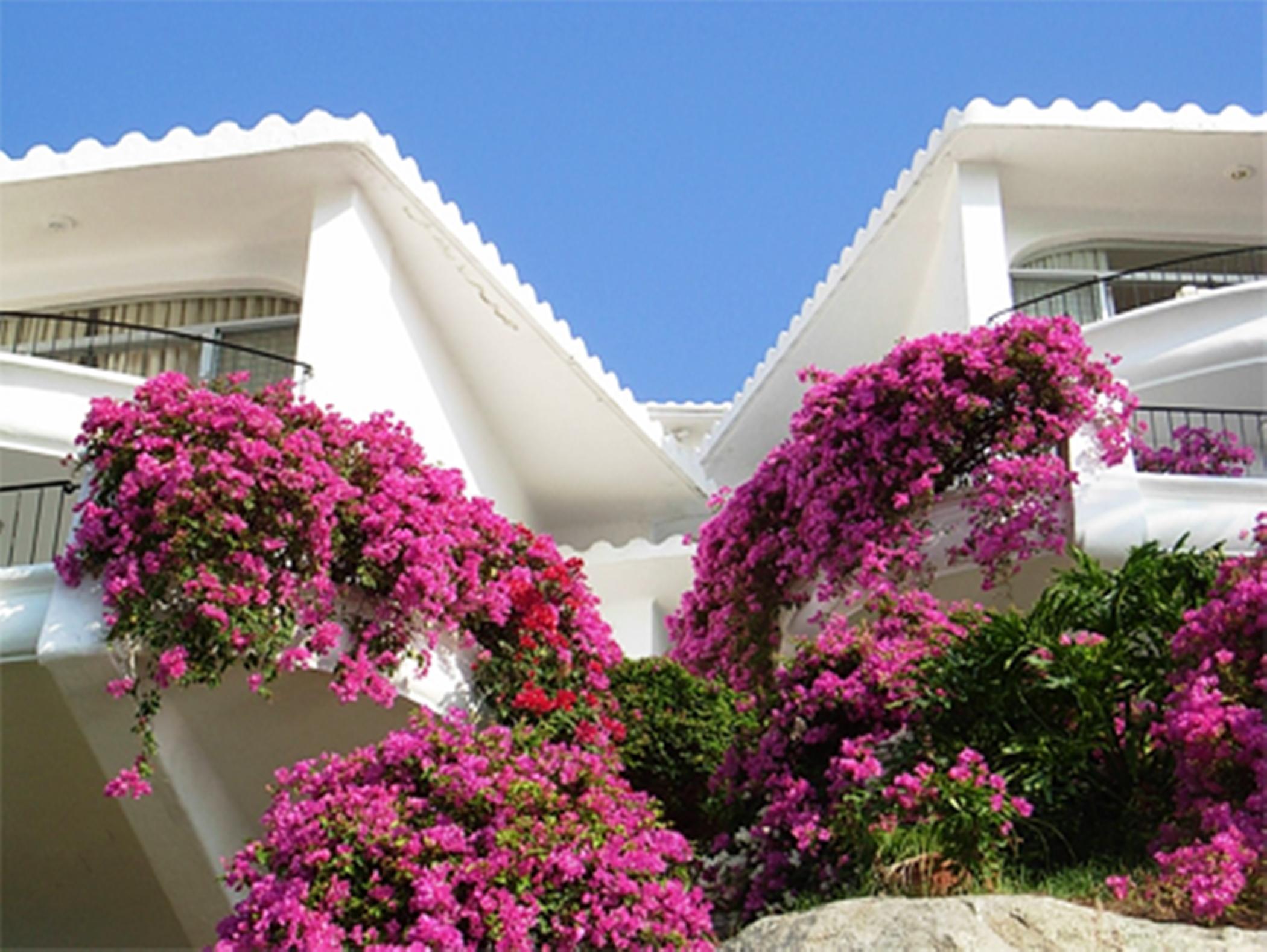 Dolphin Cove Inn Manzanillo Luaran gambar