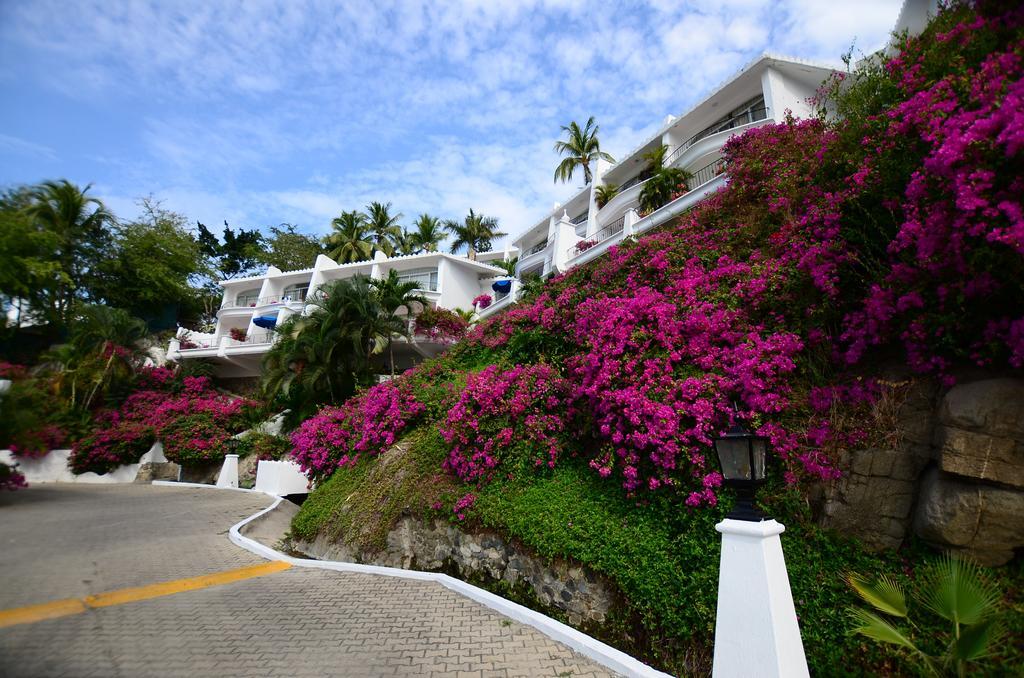 Dolphin Cove Inn Manzanillo Luaran gambar